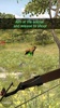 Archery Hunting screenshot 5