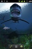 sharkattack screenshot 3