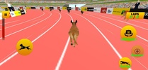 Dog Race screenshot 4