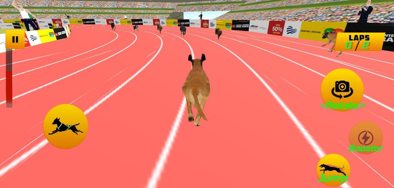 Dog Race 2019 - Preview 4