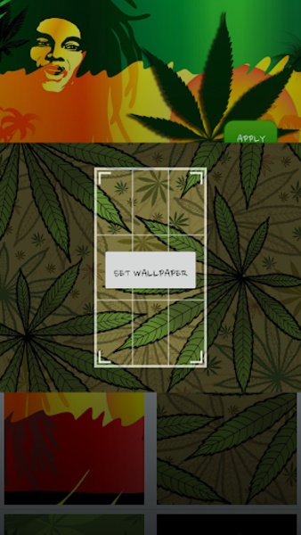 Reggae Rasta Color Theme - Preview 6