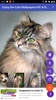 Cats Wallpapers HD & Backgrounds HD screenshot 8
