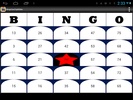 BingoCard byNSDev screenshot 4
