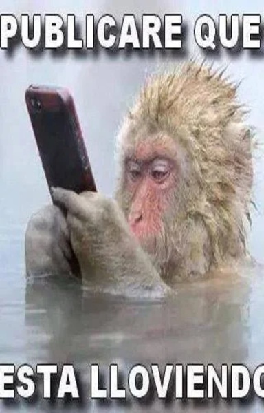 Imagenes de divertidos memes - Preview 1