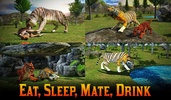 Adventures of Wild Tiger screenshot 4