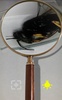 Magnifying Glass screenshot 2