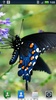 Butterflies Live Wallpaper screenshot 5