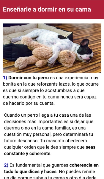 Como adiestrar un perro - Preview 3