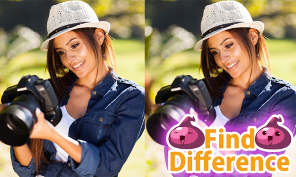 Find Difference 1 - Preview 3