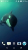 Orca 3D Video Wallpaper screenshot 4