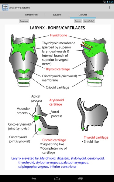 Anatomy Lectures - Preview 4