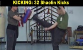 Shaolin Kung Fu screenshot 1