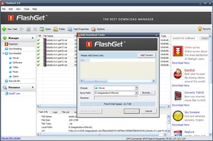 FlashGet screenshot 2