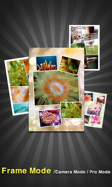InstaPicFrame - Preview 3