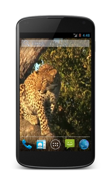 Leopard Video Wallpaper - Preview 2