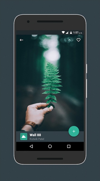 Revolution Walls - Preview 6