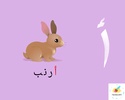 حروفي العربيه screenshot 7