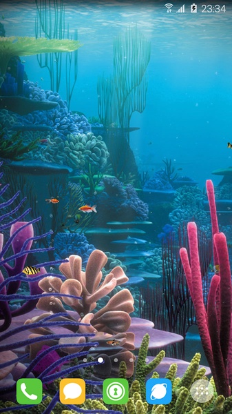 aquarium - Preview 9
