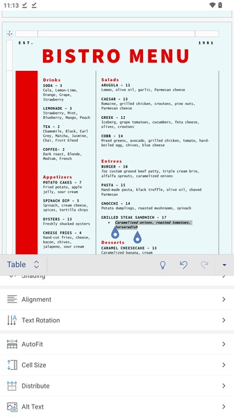 Microsoft Word Tutorials - Preview 13