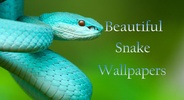 Snake Wallpaper HD screenshot 16