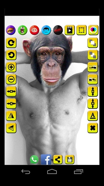 Face Fun - Photo Collage Maker 5 - Preview 4