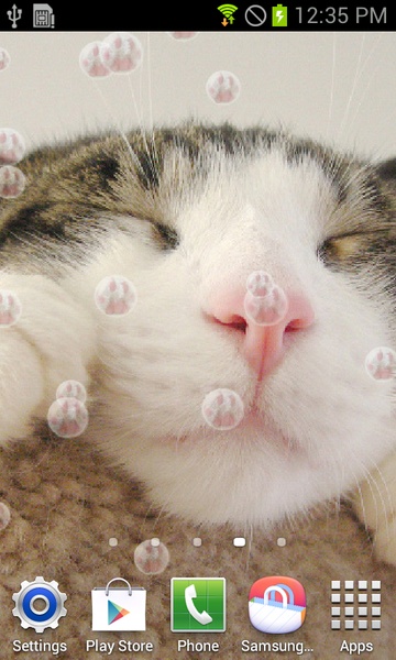 Cute Cat - Preview 5
