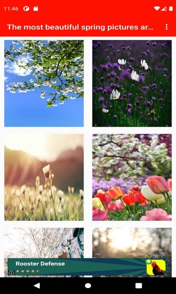 The most beautiful spring pictures around the world 4K - Preview 8