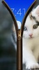 Cat Zipper Screen Lock screenshot 3