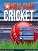 New Star Cricket screenshot 6