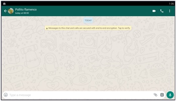Chat app fake Generate Whatsapp