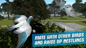 City Bird Pigeon Simulator 3D screenshot 1
