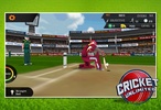Cricket Unlimited screenshot 12