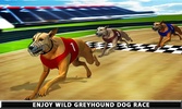 Wild Greyhound Dog Racing screenshot 9