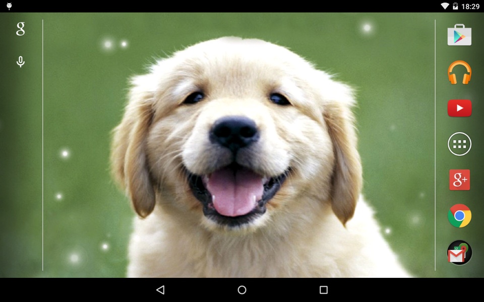 Puppies - Preview 3