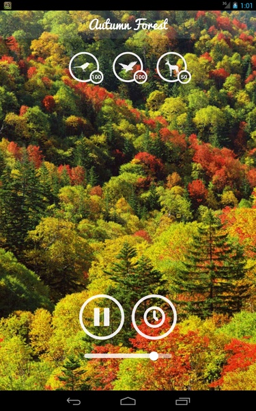 Forest Sounds - Preview 2