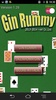 Gin Rummy screenshot 12