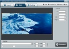 SWF to Video Converter screenshot 3