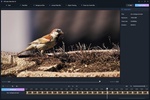 AVCLabs Video Blur AI screenshot 3