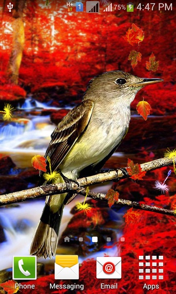 Singing Birds LWP - Preview 7