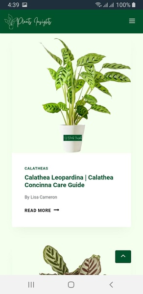 Plants Insights - Preview 4