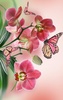 Orchid Live Wallpaper screenshot 3