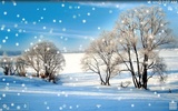Winter Snow Live Wallpaper screenshot 9