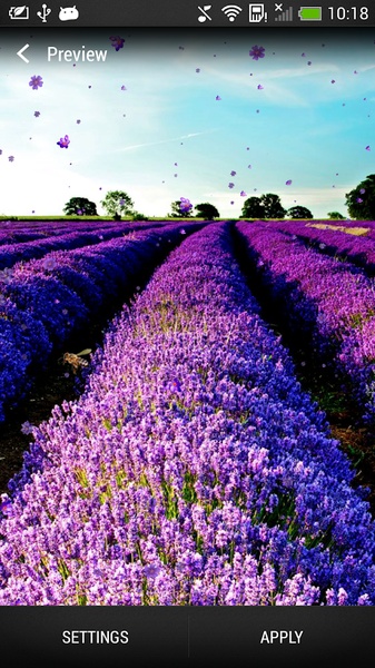 Lavender Live Wallpaper - Preview 7