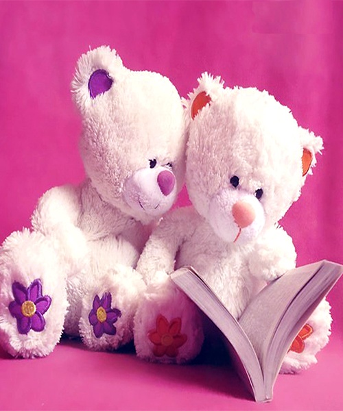 Teddy Bear - Preview 1