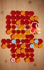 Nuts Bolts Wood Screw Puzzle screenshot 1