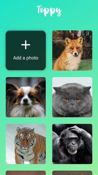 Talking Animals - Preview 1