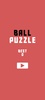 Ball Puzzle Game FREE screenshot 5