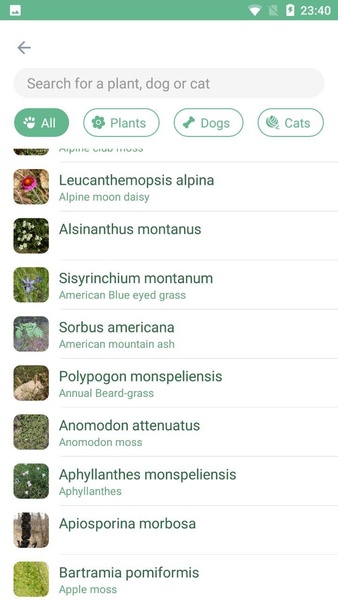 NatureID - Preview 3