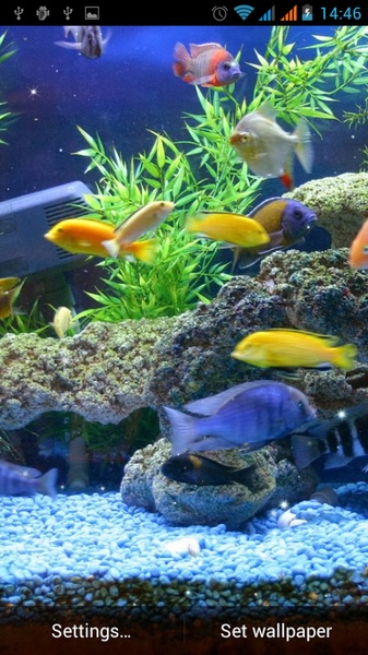 Aquarium Live Wallpaper - Preview 3