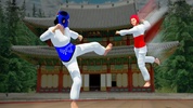 Taekwondo Fighting screenshot 6